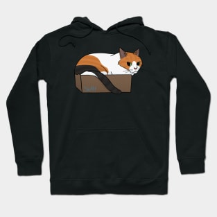 Cat in a Box Hoodie